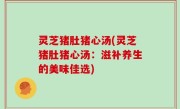 灵芝猪肚猪心汤(灵芝猪肚猪心汤：滋补养生的美味佳选)