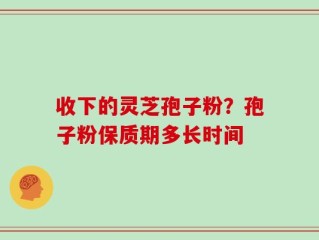 收下的灵芝孢子粉？孢子粉保质期多长时间