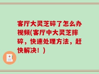 客厅大灵芝碎了怎么办视频(客厅中大灵芝摔碎，快速处理方法，赶快解决！)