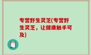 专营野生灵芝(专营野生灵芝，让健康触手可及)