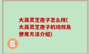 大晟灵芝孢子怎么样(大晟灵芝孢子的功效及使用方法介绍)