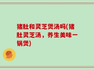 猪肚和灵芝煲汤吗(猪肚灵芝汤，养生美味一锅煲)