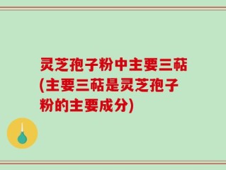 灵芝孢子粉中主要三萜(主要三萜是灵芝孢子粉的主要成分)