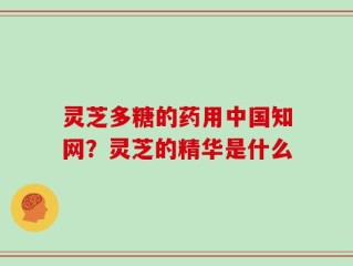 灵芝多糖的药用中国知网？灵芝的精华是什么
