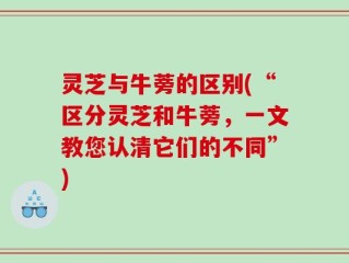 灵芝与牛蒡的区别(“区分灵芝和牛蒡，一文教您认清它们的不同”)