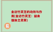 金边竹灵芝的功效与作用(金边竹灵芝：益身强体之灵草)