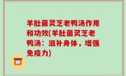 羊肚菌灵芝老鸭汤作用和功效(羊肚菌灵芝老鸭汤：滋补身体，增强免疫力)