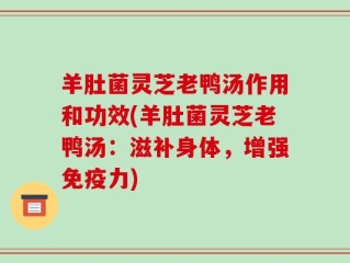 羊肚菌灵芝老鸭汤作用和功效(羊肚菌灵芝老鸭汤：滋补身体，增强免疫力)