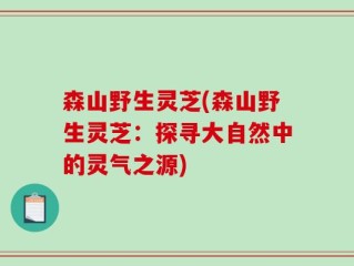 森山野生灵芝(森山野生灵芝：探寻大自然中的灵气之源)
