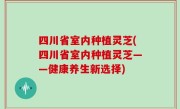 四川省室内种植灵芝(四川省室内种植灵芝——健康养生新选择)