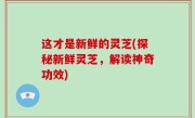 这才是新鲜的灵芝(探秘新鲜灵芝，解读神奇功效)