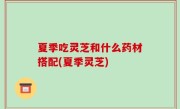 夏季吃灵芝和什么药材搭配(夏季灵芝)