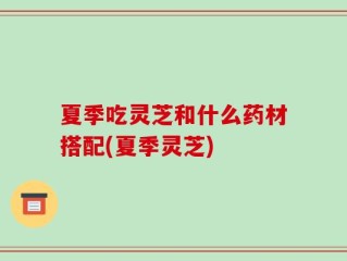 夏季吃灵芝和什么药材搭配(夏季灵芝)