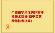 广西南宁灵芝仿野生种植技术指导(南宁灵芝种植技术指导)