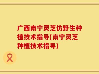 广西南宁灵芝仿野生种植技术指导(南宁灵芝种植技术指导)