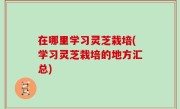 在哪里学习灵芝栽培(学习灵芝栽培的地方汇总)