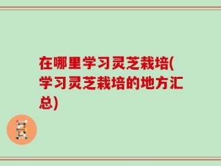 在哪里学习灵芝栽培(学习灵芝栽培的地方汇总)