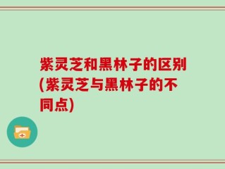 紫灵芝和黑林子的区别(紫灵芝与黑林子的不同点)