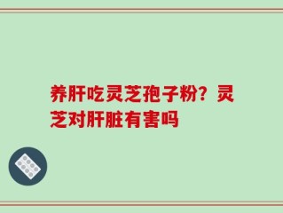 养肝吃灵芝孢子粉？灵芝对肝脏有害吗