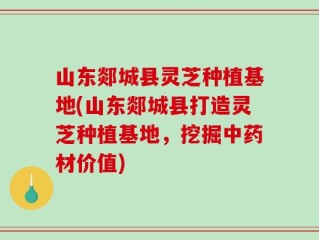 山东郯城县灵芝种植基地(山东郯城县打造灵芝种植基地，挖掘中药材价值)