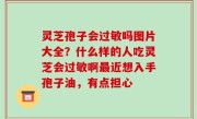 灵芝孢子会过敏吗图片大全？什么样的人吃灵芝会过敏啊最近想入手孢子油，有点担心