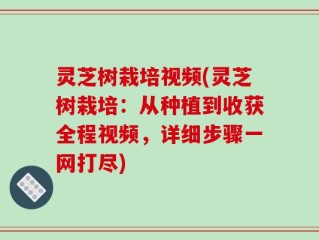 灵芝树栽培视频(灵芝树栽培：从种植到收获全程视频，详细步骤一网打尽)