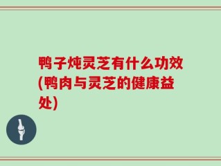 鸭子炖灵芝有什么功效(鸭肉与灵芝的健康益处)