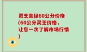 灵芝直径60公分价格(60公分灵芝价格，让您一次了解市场行情)