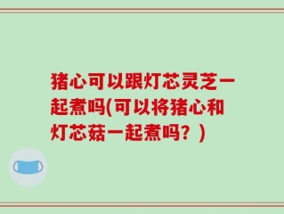 猪心可以跟灯芯灵芝一起煮吗(可以将猪心和灯芯菇一起煮吗？)