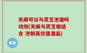 天麻可以与灵芝泡酒吗功效(天麻与灵芝相结合 泡制高价值酒品)