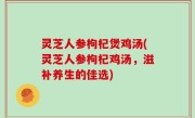 灵芝人参枸杞煲鸡汤(灵芝人参枸杞鸡汤，滋补养生的佳选)