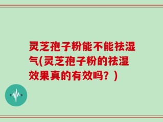 灵芝孢子粉能不能祛湿气(灵芝孢子粉的祛湿效果真的有效吗？)