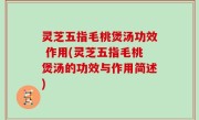 灵芝五指毛桃煲汤功效 作用(灵芝五指毛桃煲汤的功效与作用简述)