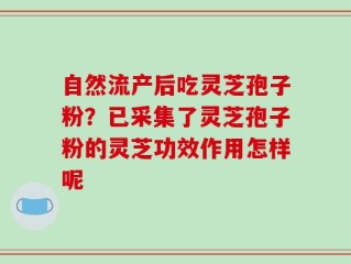 自然流产后吃灵芝孢子粉？已采集了灵芝孢子粉的灵芝功效作用怎样呢