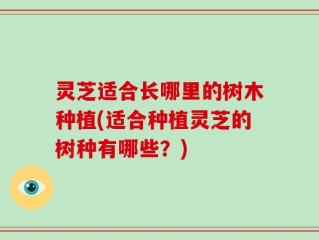 灵芝适合长哪里的树木种植(适合种植灵芝的树种有哪些？)