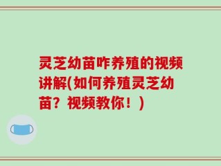 灵芝幼苗咋养殖的视频讲解(如何养殖灵芝幼苗？视频教你！)