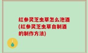 红参灵芝虫草怎么泡酒(红参灵芝虫草自制酒的制作方法)