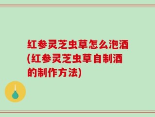 红参灵芝虫草怎么泡酒(红参灵芝虫草自制酒的制作方法)