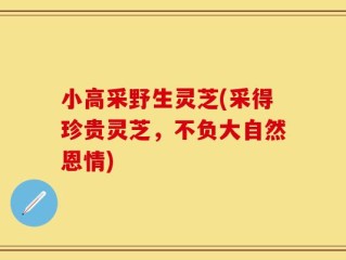 小高采野生灵芝(采得珍贵灵芝，不负大自然恩情)