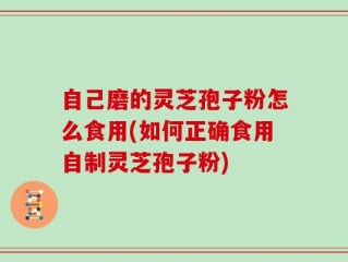 自己磨的灵芝孢子粉怎么食用(如何正确食用自制灵芝孢子粉)
