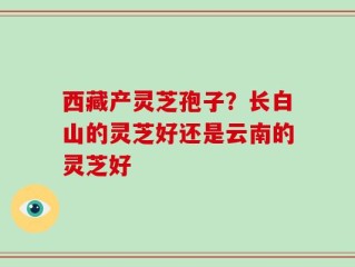 西藏产灵芝孢子？长白山的灵芝好还是云南的灵芝好