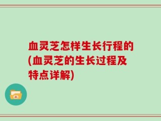 血灵芝怎样生长行程的(血灵芝的生长过程及特点详解)