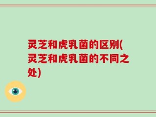 灵芝和虎乳菌的区别(灵芝和虎乳菌的不同之处)
