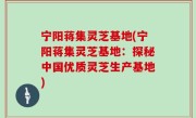 宁阳蒋集灵芝基地(宁阳蒋集灵芝基地：探秘中国优质灵芝生产基地)