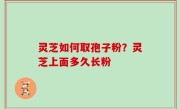 灵芝如何取孢子粉？灵芝上面多久长粉
