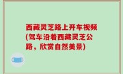 西藏灵芝路上开车视频(驾车沿着西藏灵芝公路，欣赏自然美景)