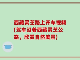 西藏灵芝路上开车视频(驾车沿着西藏灵芝公路，欣赏自然美景)