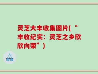 灵芝大丰收集图片(“丰收纪实：灵芝之乡欣欣向荣”)