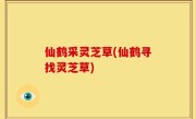 仙鹤采灵芝草(仙鹤寻找灵芝草)