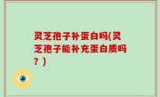 灵芝孢子补蛋白吗(灵芝孢子能补充蛋白质吗？)